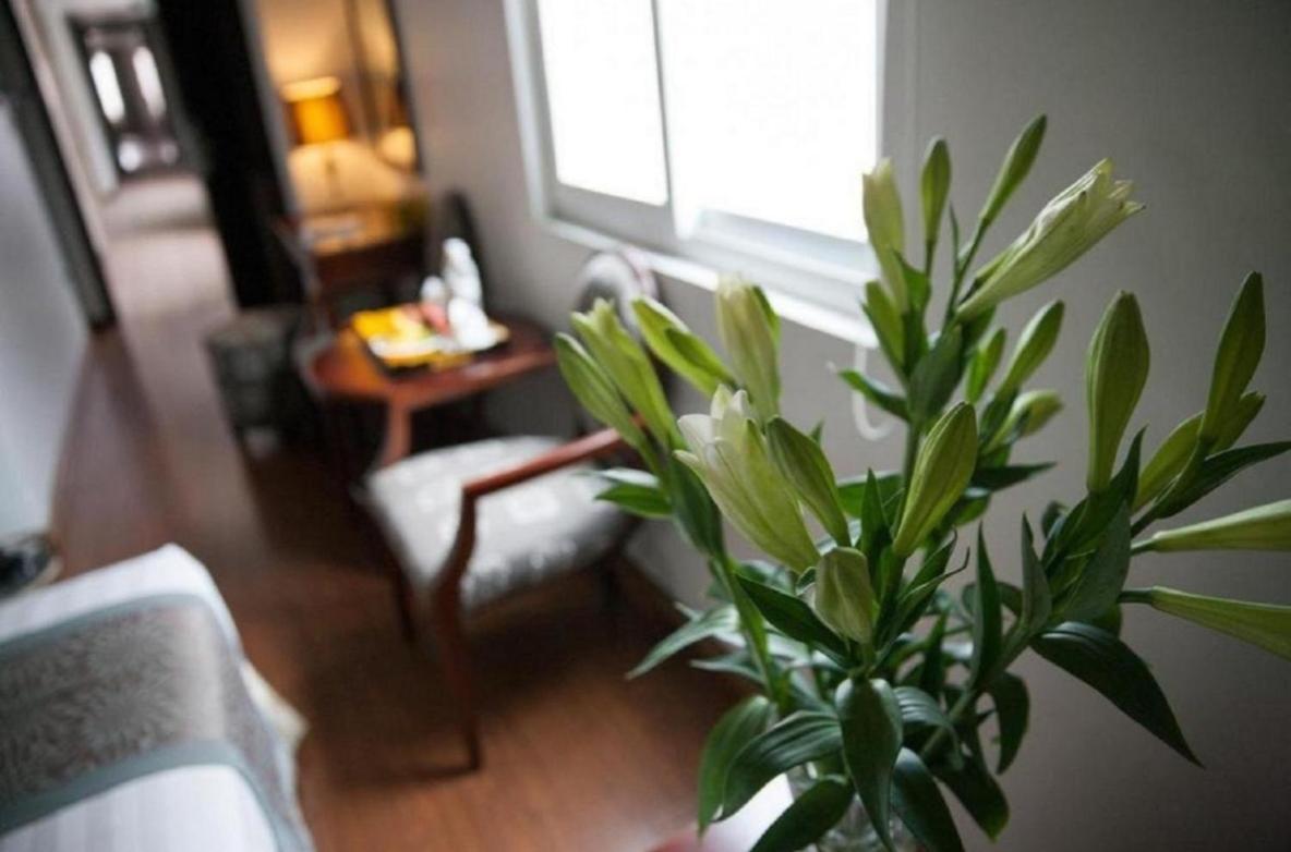 Skylark Boutique Hotel 하노이 외부 사진